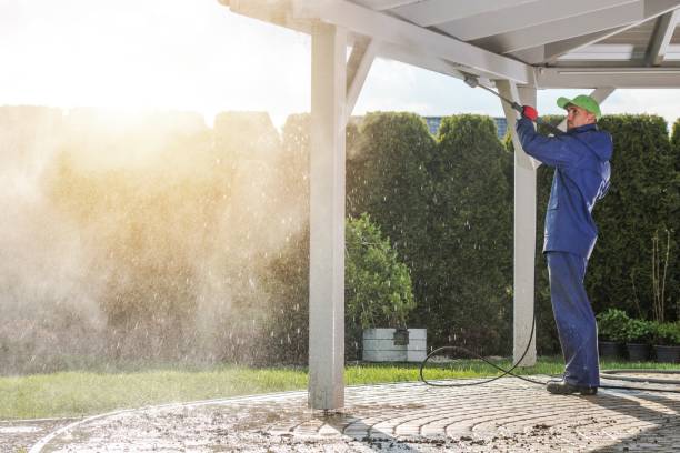 Best Roof Cleaning and Mildew Removal in Hampton, MD