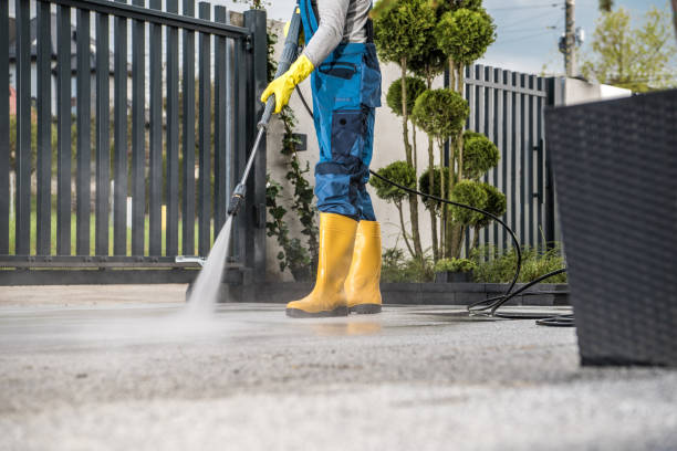 Best Gutter Cleaning and Brightening in Hampton, MD